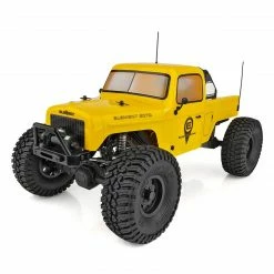Best Pirce ⌛ Budget 🎉 Team Associated 1/10 Enduro Ecto Trail Truck 4WD RTR ⭐ 🌟
